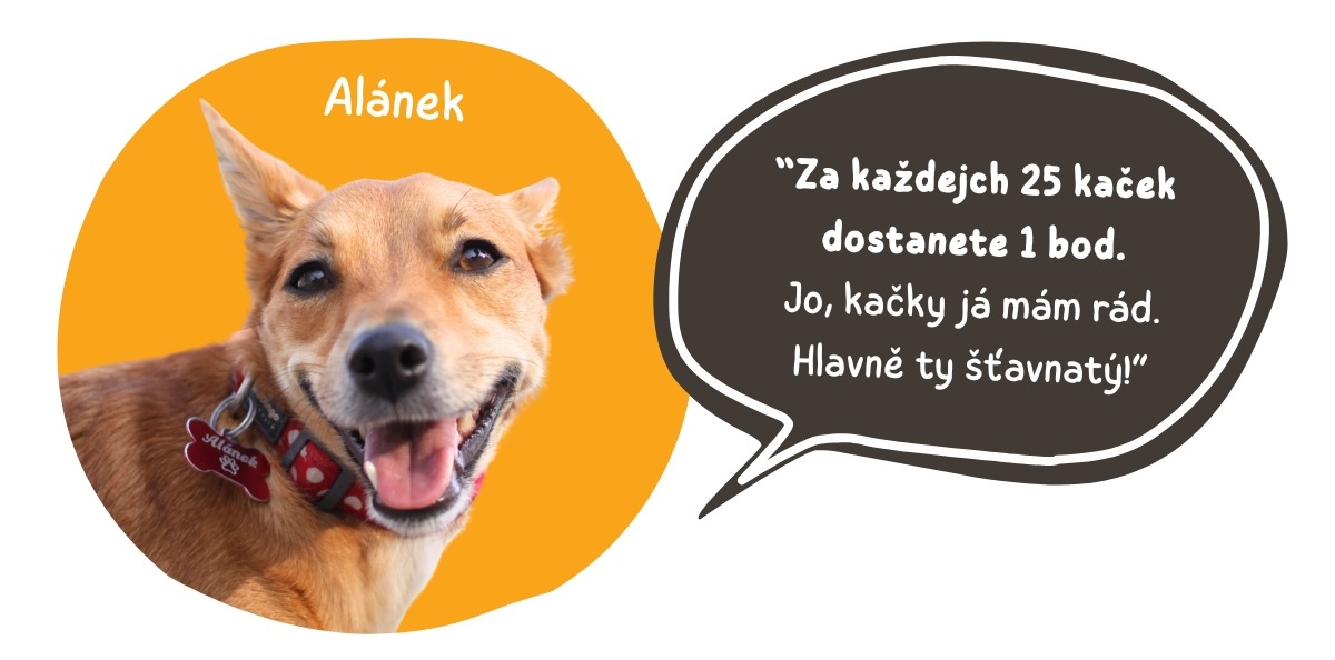 alanek_kacky